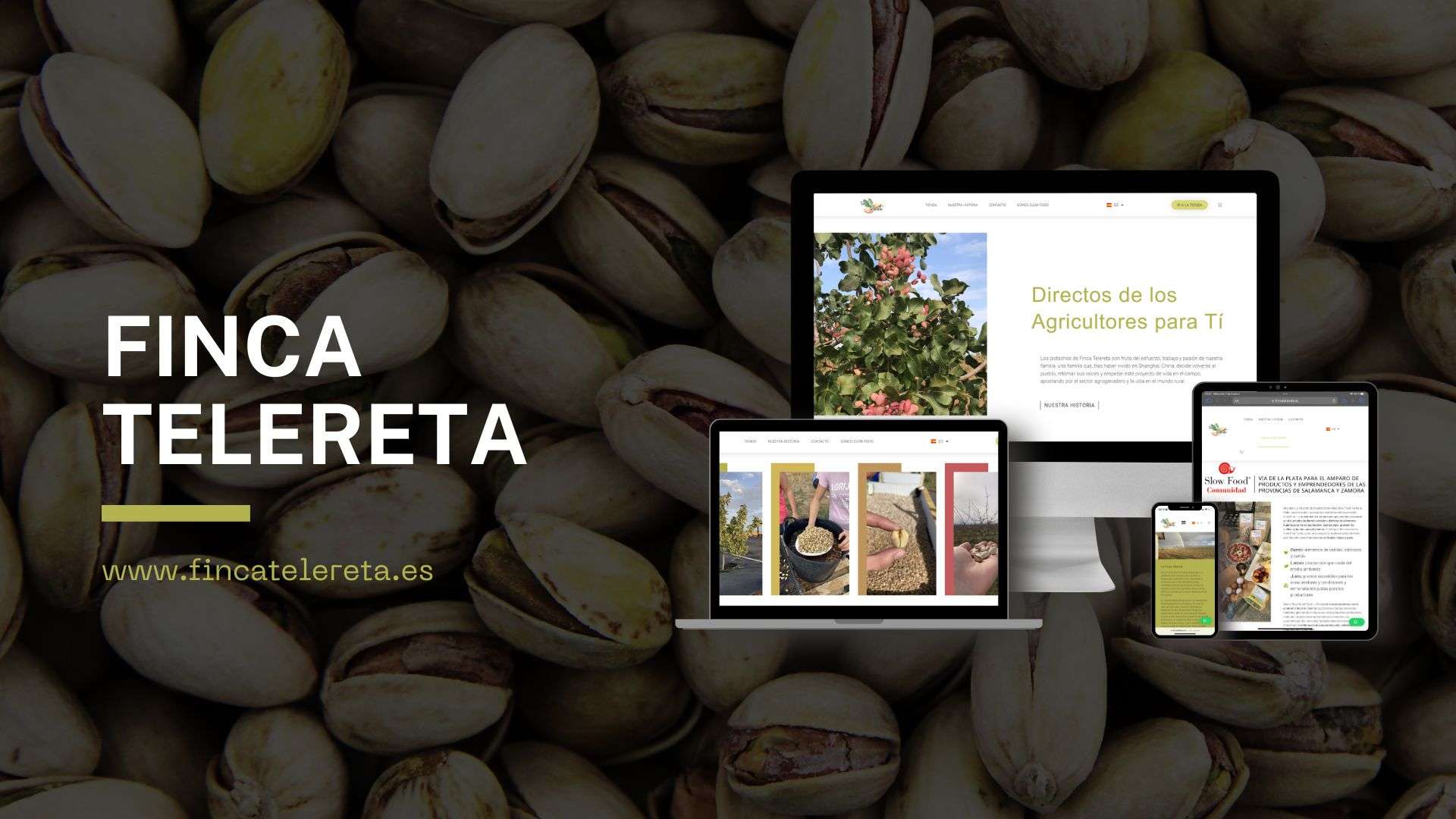 tienda online pistachos Finca Telereta